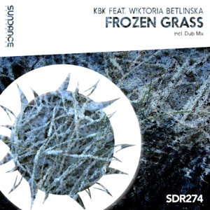 Frozen Grass (feat. Wiktoria Betlinska) - Single