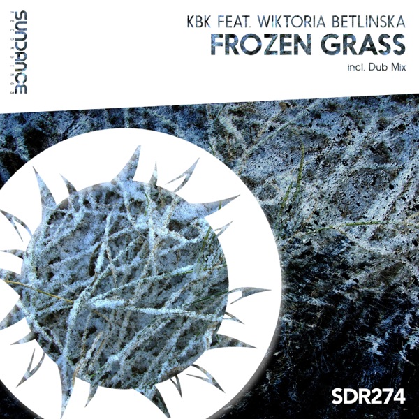 Frozen Grass (feat. Wiktoria Betlinska) - Single