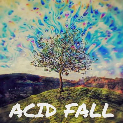 Acid Fall - Single