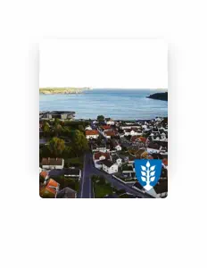 聆聽 Malekko、觀看音樂影片、閱讀小傳、查看巡演日期等！