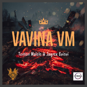 Vavina VM (feat. Jayrex Suisui) song art