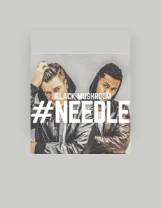 Black Mushroom: песни, клипы, биография, даты выступлений и многое другое.