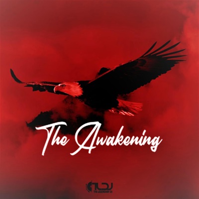 The Awakening (feat. Phekzin) - Single