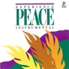 Experience Peace (Instrumental)