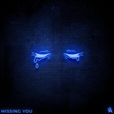 Missing You - Single