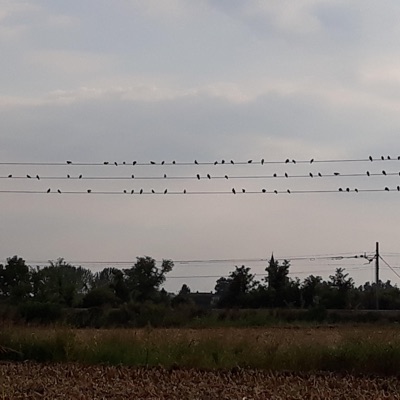 Po Valley Ride - Single