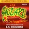 Alma de Acero - Los Yaguarú lyrics
