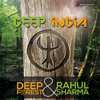 Deep India - Deep Forest & ラフール・シャルマ