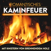 Romantisches Kaminfeuer - Harmonische Stimmung und wärmende Klänge zum Wohlfühlen - Mit Knistern von brennendem Holz artwork