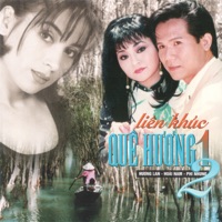 Liên khúc quê hương 2 - Mạnh Quỳnh