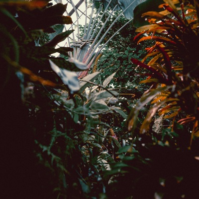 I Want To Feel You - Single