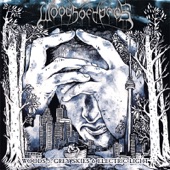 Woods of Ypres - Modern Life Architecture