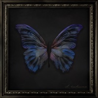 Il richiamo - Single - TC1CREEZY