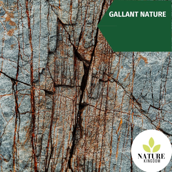 Gallant Nature