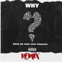 Why (feat. No Hoes Code & TheKidPD) [Remix] - Single - XØXA