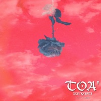Toa' - Single - Zeyro