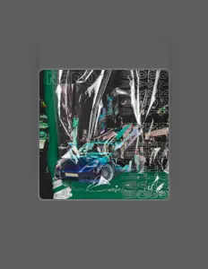 聆聽 NEDO、觀看音樂影片、閱讀小傳、查看巡演日期等！