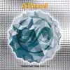 DJ Maxwell - Winding Number