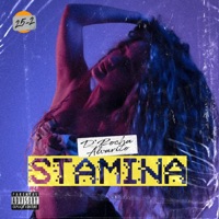 Stamina - Single - D'Rocha & Alvarito