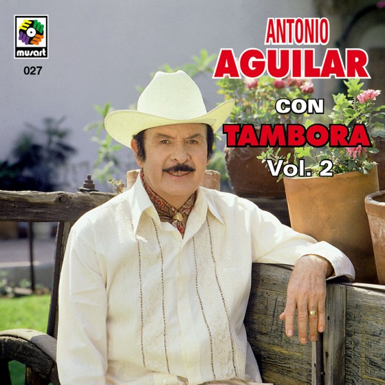 Cover artwork for Ando Que Me Lleva