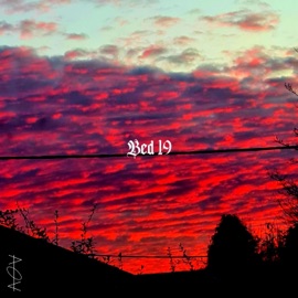 Bed 19 Personal Problems