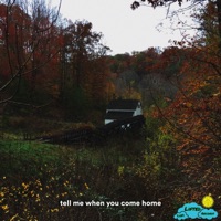 Tell Me When You Come Home - Single - The Delirious Artist, Nørth. & Lifted LoFi