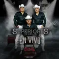 Mi Unico Camino