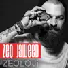Zeo Jaweed - N'oluyo?