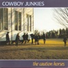 Cowboy Junkies