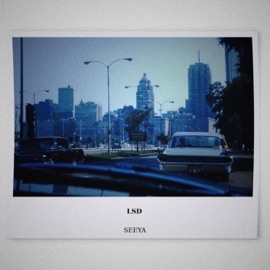 LSD (feat. Guv & Young Stone) SEEYA