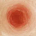 De Salis