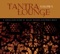 Feel (Thievery Corporation Remix) - Bombay Dub Orchestra lyrics