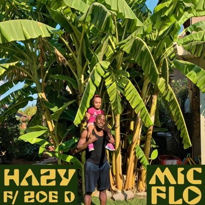 Hazy (feat. Zoe D) - Single