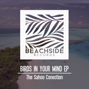 Birds in Your Mind - Single