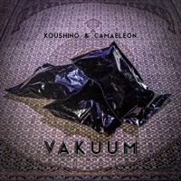 Vakuum - Single - Koushino & Camaeleon
