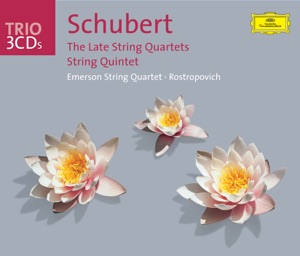 String Quartet No. 13 in A Minor, D. 804 -