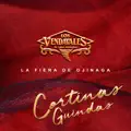 CORTINAS GUINDAS