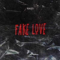 Fake Love - Single - Raizy