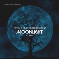 Moonlight (feat. Para) - Single - Petey, Muxy & Demo Gubbz