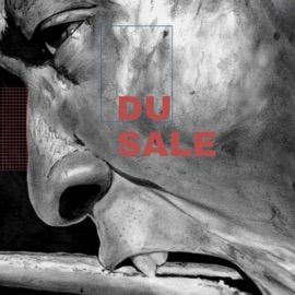 Du Sale Bibi Craveur