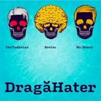 Draga Hater (feat. Mr Honey & Breloc) - Single - IBU Tudorian