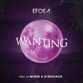 Wanting Efosa