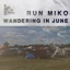 Wandering in June (feat. Sarah Simmons) - Single