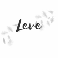 Leve - Single - Flip