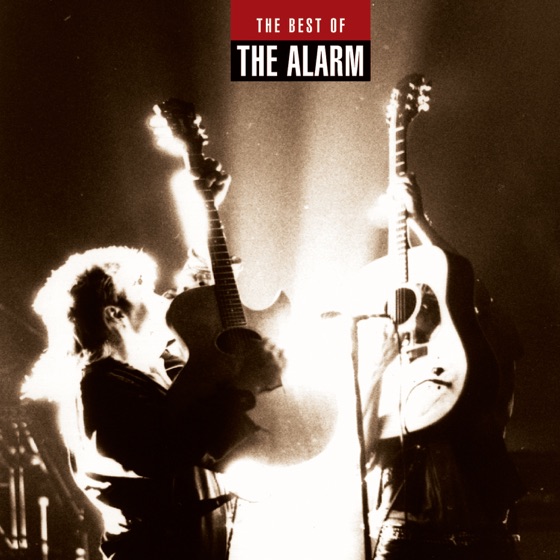 Cover artwork for Absolute Reality