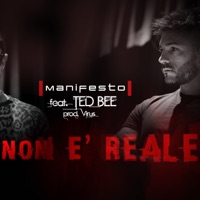 Non è reale (feat. Ted Bee) - Single - Manifesto