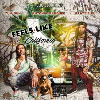 Feels Like California - Single