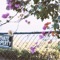 Can't Breathe - Lucy Langlas lyrics