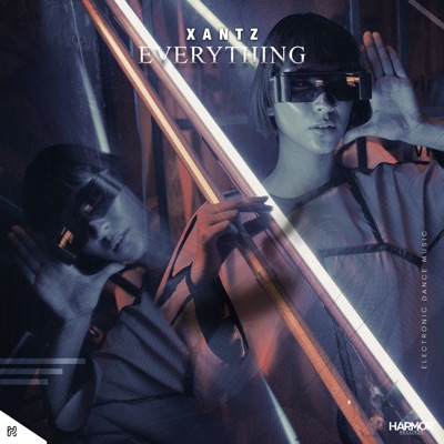 Everything - Single
