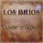 Te Acordaras de Mí song art